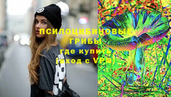 ПСИЛОЦИБИНОВЫЕ ГРИБЫ Уссурийск