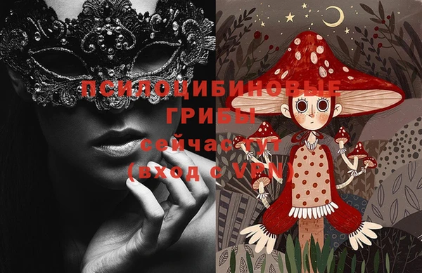 дживик Медвежьегорск