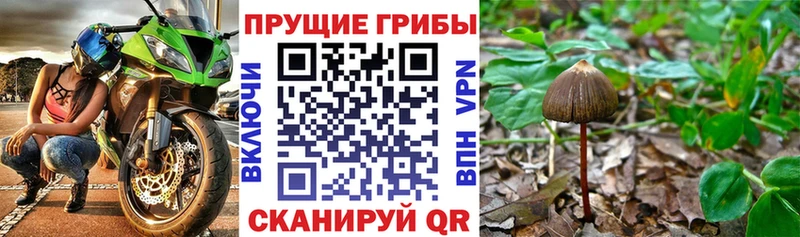 наркошоп  Отрадная  Галлюциногенные грибы ЛСД 